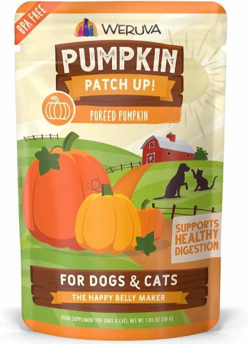 does pumpkin help dogs poop?
